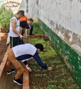 Exitosa cosecha anual de verduras y frutas se registra en Tacumbú
