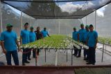 Ministerio de Justicia en solo tres meses concreta  proyecto de producción hidropónica para PPL