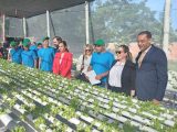 Inauguran primer módulo de vivero hidropónico y ministro ordenó replicar en otras penitenciarías