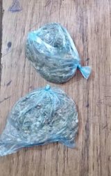 En el Centro Educativo de Itauguá detienen a un visitante que intentó ingresar marihuana y recapturan a dos fugados