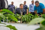 Ministerio de Justicia: PPL cosechan 150 kilos de locote en el marco de nuevo proyecto de reinserción