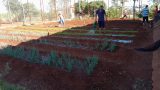 El MJ recurre a la horticultura para buscar la reinserción social de adolescentes infractores de PJC