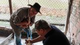 Granja Penitenciaria Itá Porá de Emboscada, obtiene unas 230 crías de aves de corral para la venta