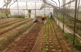 Adolescentes del Centro Educativo de Ciudad del Este se preparan para la vida laboral
