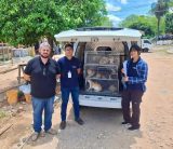 Ministerio de Justicia propicia el rescate y castración de gatos del penal de Tacumbú