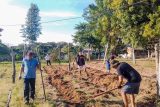 Azada en mano las PPL de Ko’ê Pyahu trabajan en huerta de autoconsumo