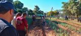 En Villarrica, PPL producirán hortalizas con oportunidad de abastecer supermercados locales