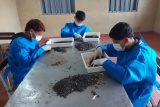Adolescentes del Centro Educativo Cambyretá acceden a oportunidad laboral
