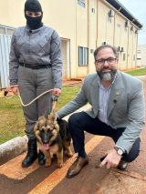 Unidad canina entrenada protegerá Cereso de Minga Guazú para la detección de drogas