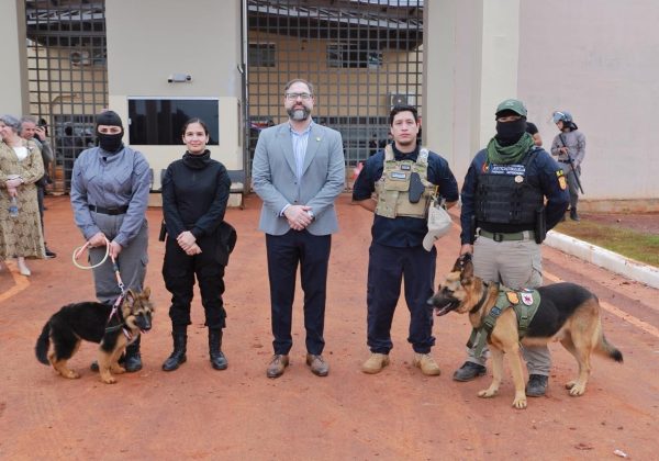 Perros 2