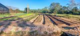 Sembrando futuro: adolescentes infractores del C.E. del Este se capacitan en Agricultura Hortícola