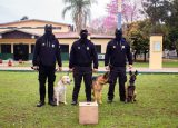 Unidad canina del Centro de Reinserción Social de Minga Guazú se fortalece con capacitación en Seguridad y Prevención