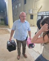 Los gatos del Buen Pastor también fueron trasladados con dignidad y cuidado
