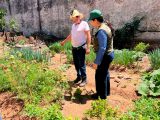 Segunda Jornada MJ y CEAMSO: Renovación de Licencia Ambiental en penales de Tacumbú, Granja y UPIE