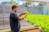 Más producción, más reinserción: Fortalecen capacidad productiva en la Granja Penitenciaria Ko’ẽ Pyahu